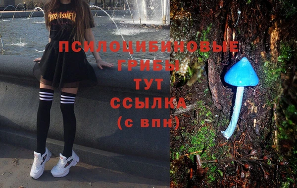 дживик Дмитриев