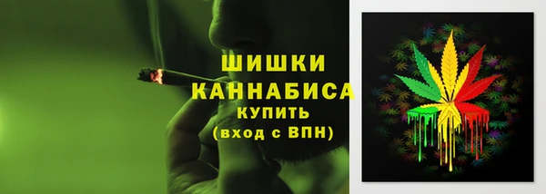 дживик Дмитриев
