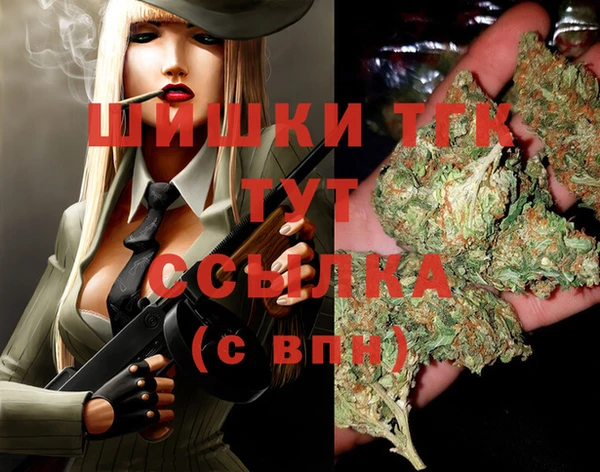 дживик Дмитриев